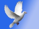 Laforge, Annette